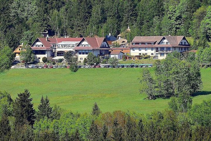 Hotel Podlesí