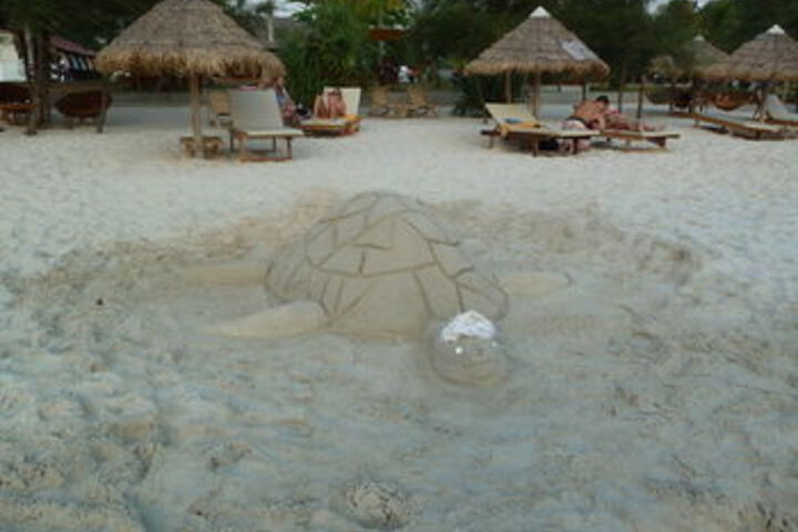 Beach 11 of 51