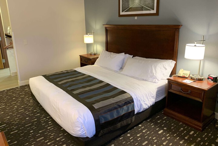 1 King Bed (19 of 19)