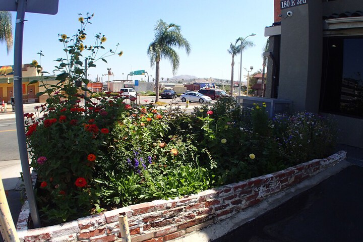 Property Grounds 41 of 51