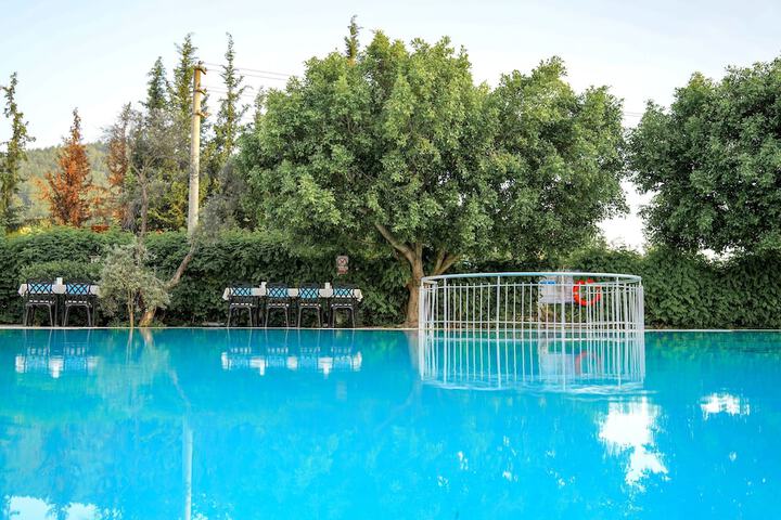 Hotel with Pool