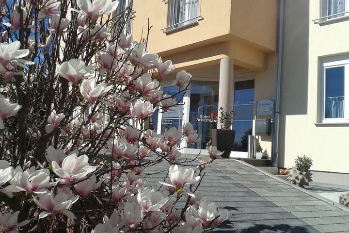 Hotel 46 of 54