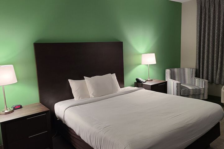 Deluxe King Bed (1 of 12)