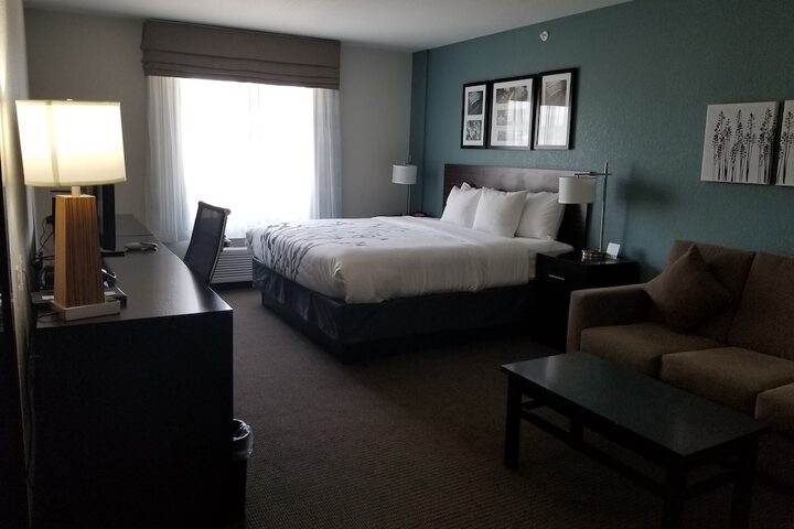 1 King Bed Mobility Accessible (13 of 29)