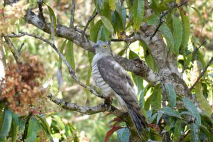 Property Grounds 53 of 63