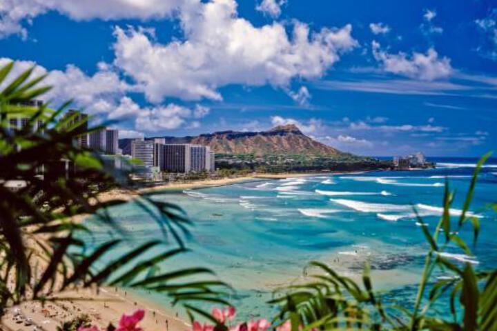 Waikiki Banyan Mountain Views Free Parking Close to Beach in Honolulu, HI