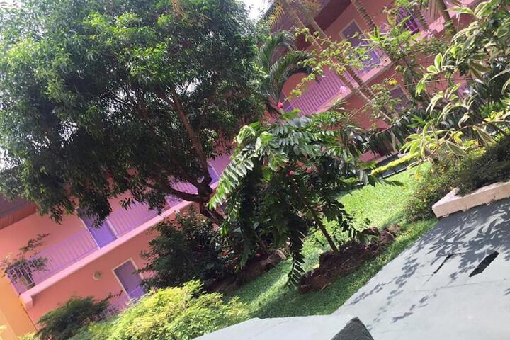 Property Grounds 42 of 47