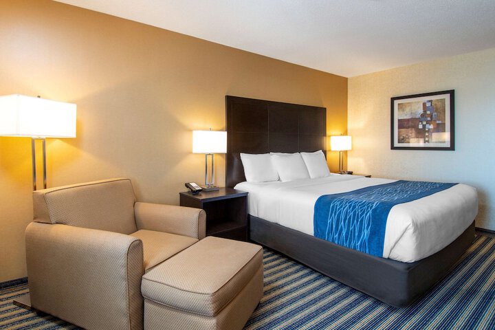 1 King Bed (5 of 10)