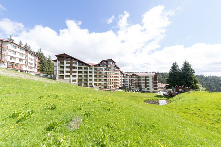 Forest Nook in Smolyan