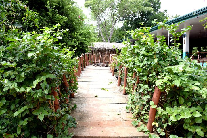 Terrace/Patio 41 of 53