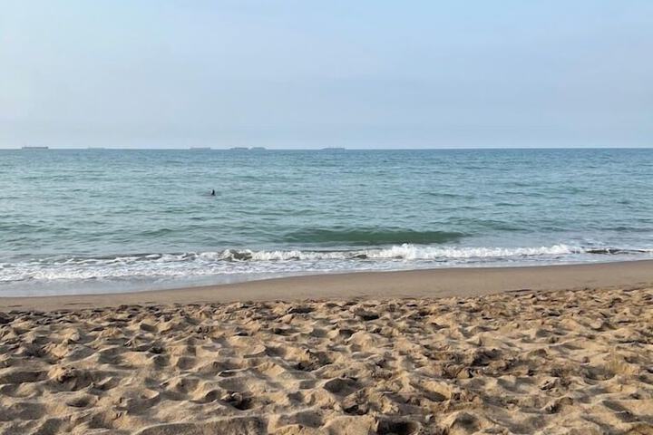 Beach 35 of 38
