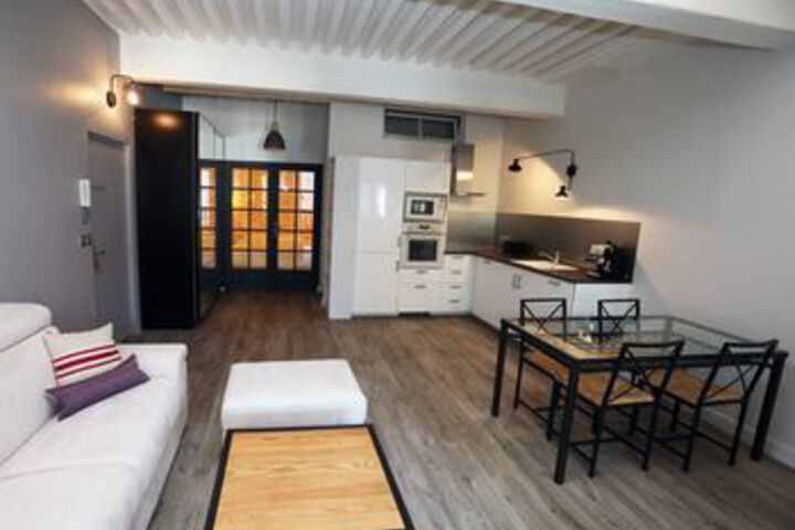Annecy downtown 55 m2 Apart with big terrace