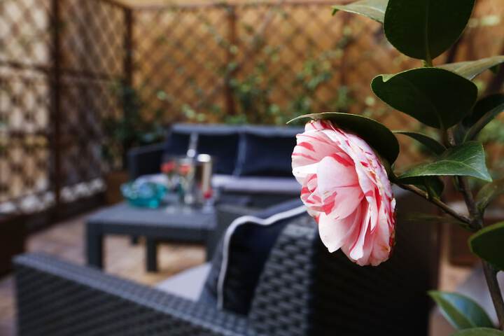 Terrace/Patio 48 of 80
