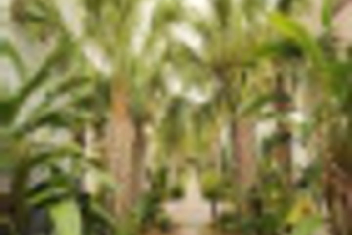 Hotel Exterior 3 of 323