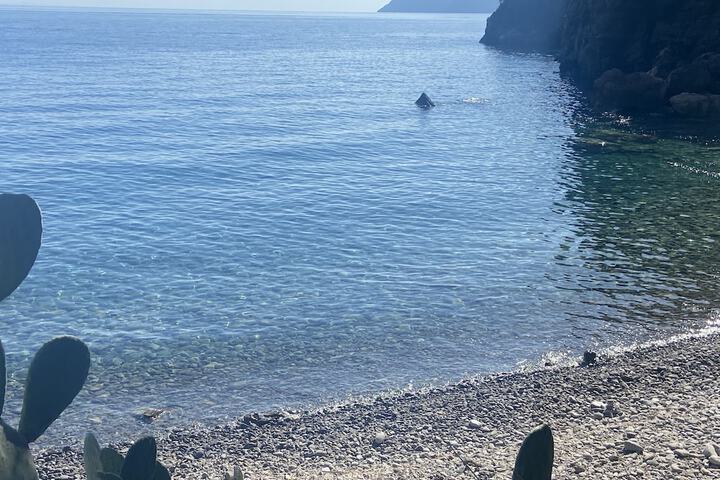 Beach 68 of 87