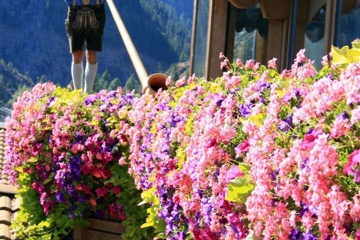 Breakfast/Coffee Service 34 of 44