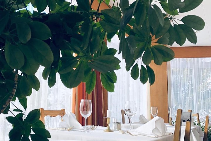 Dining 68 of 99
