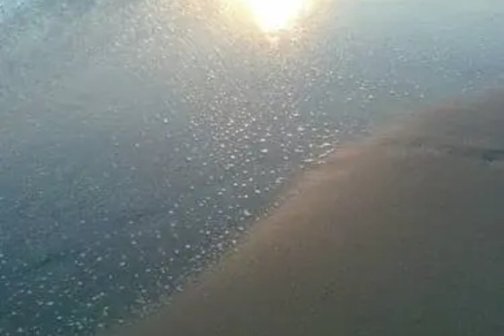 Beach 21 of 29