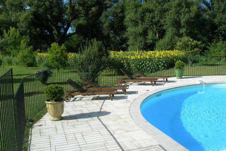 Photo 4