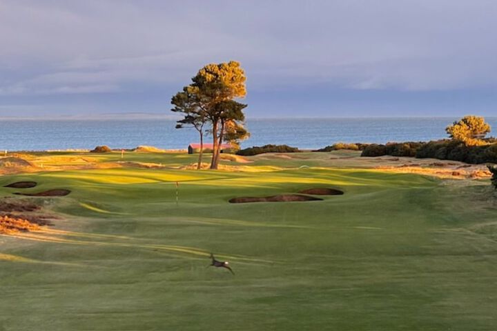 Golf 48 of 53