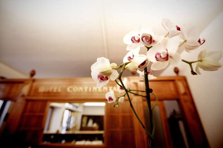Lobby Entry