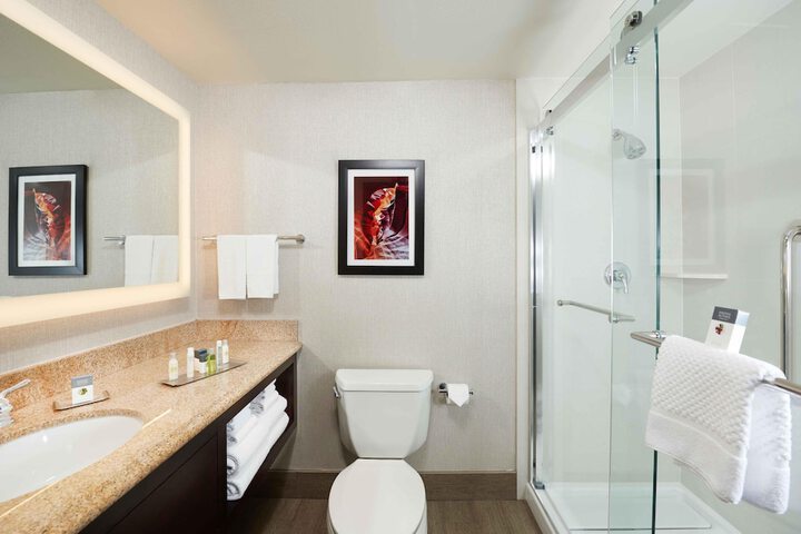 Bathroom shower