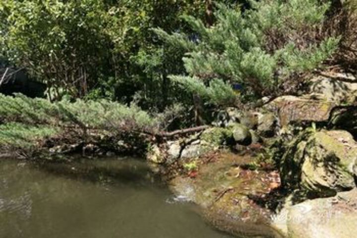 Property Grounds 42 of 47