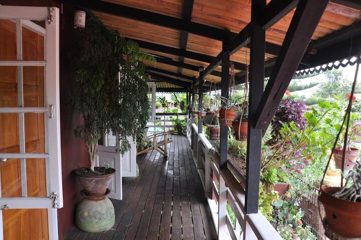 Room 16 of 46