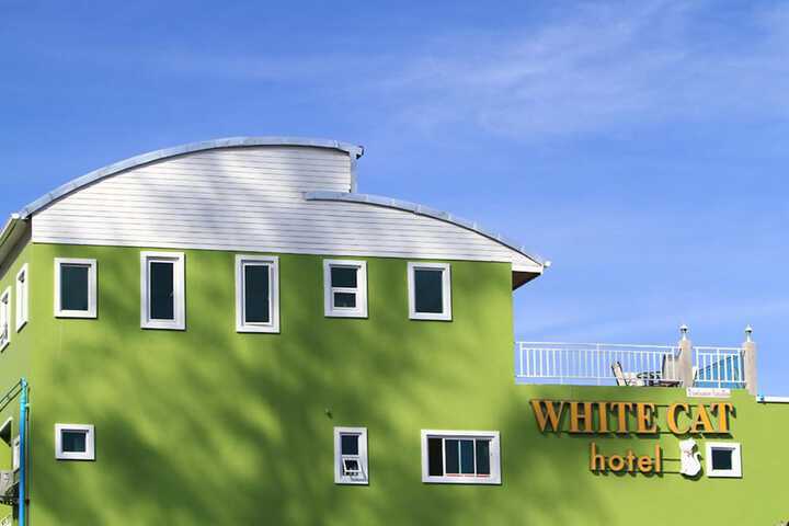 White Cat Hotel