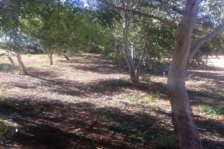 Property Grounds 36 of 47