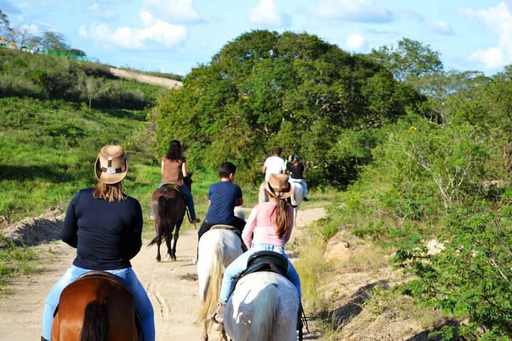Horseback riding