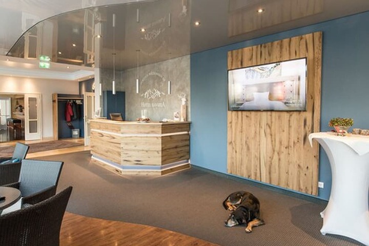 Pet-friendly