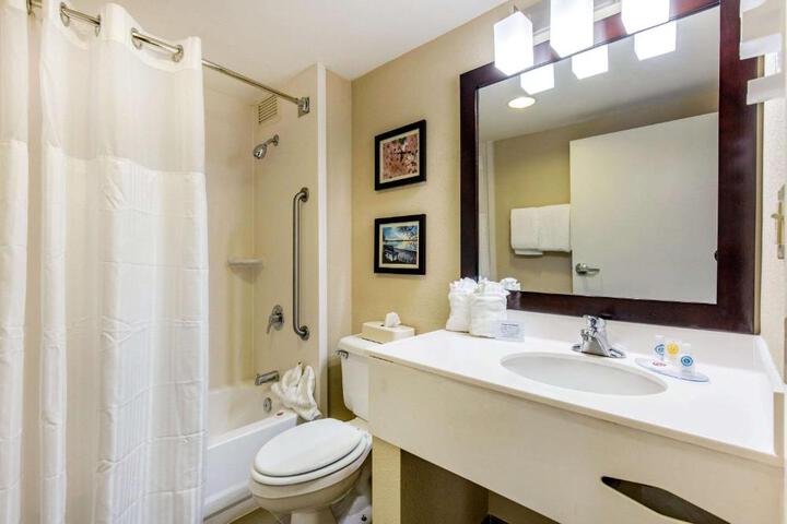 Standard Room, King or Two Doubles (2 of 4)