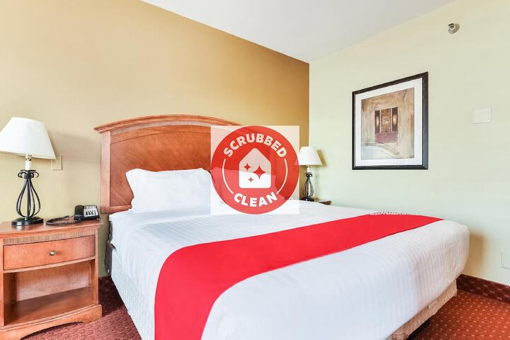 1 Bedroom Suite (7 of 9)