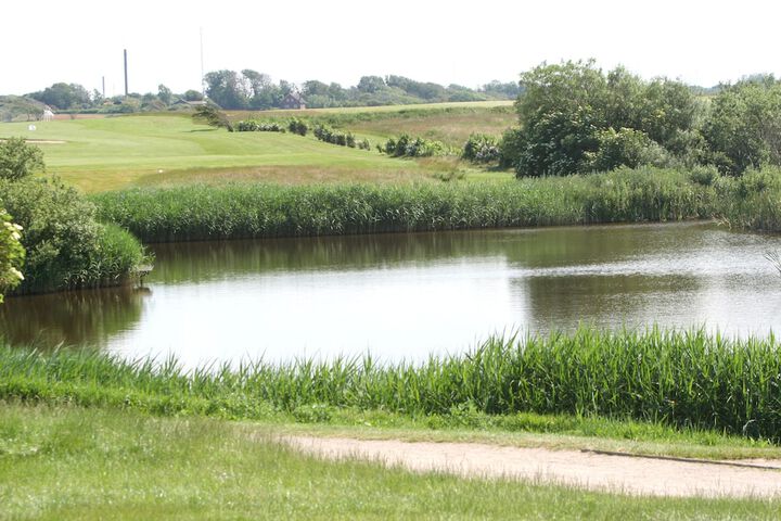 Golf 19 of 29
