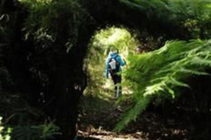 Property Grounds 9 of 12