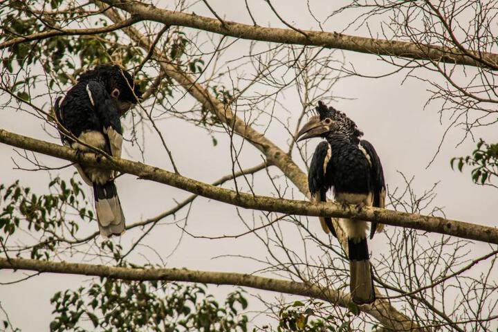 General 20 of 50