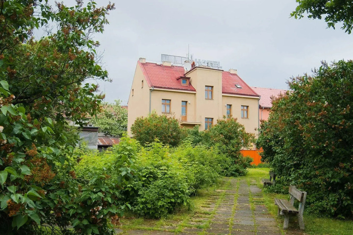 Photo 11
