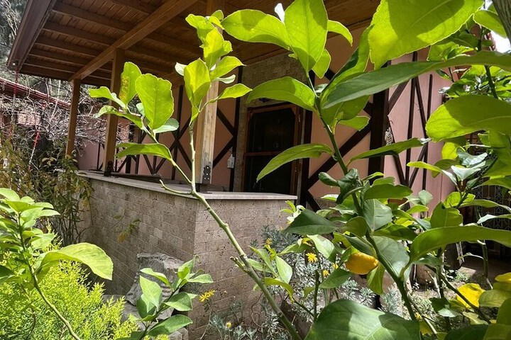 Terrace/Patio 19 of 51