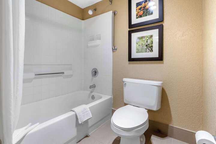 1 King Bed Accessible (3 of 22)