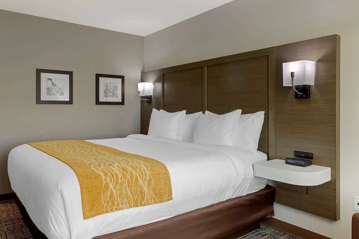 1 King Bed Bathtub Accessible (10 of 24)