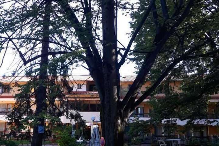 Property Grounds 12 of 18