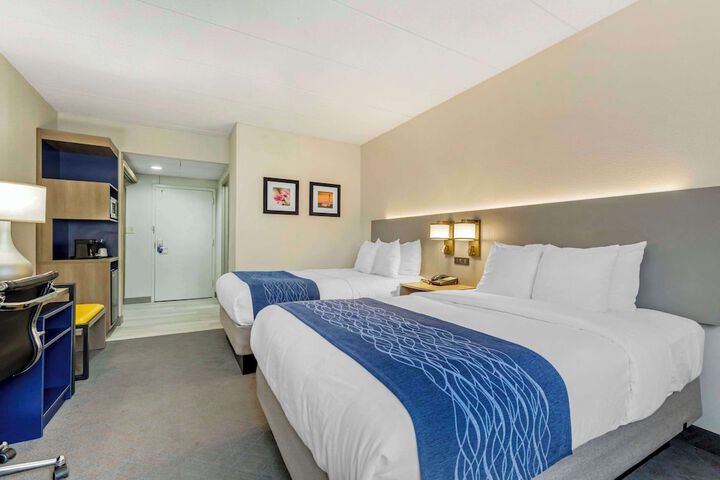2 Double Beds (1 of 6)