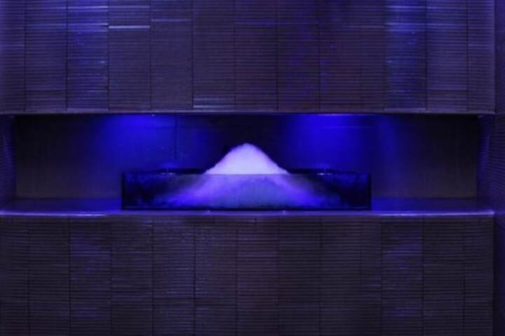 Wellness Treatments