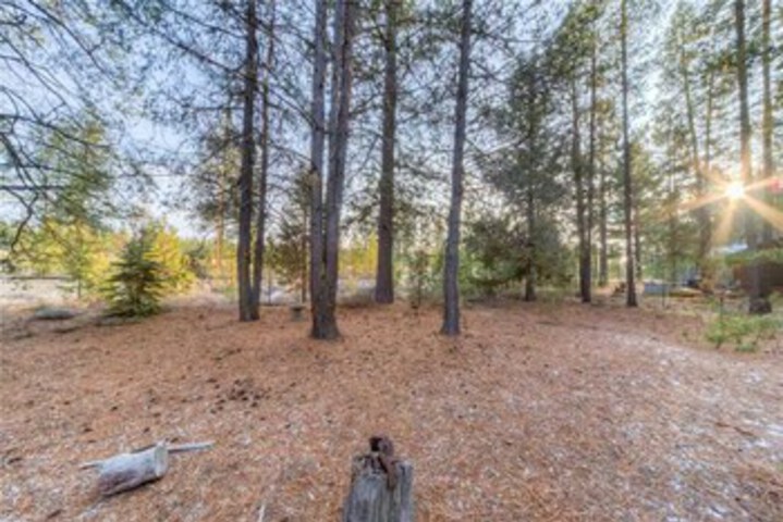 Property Grounds 13 of 18