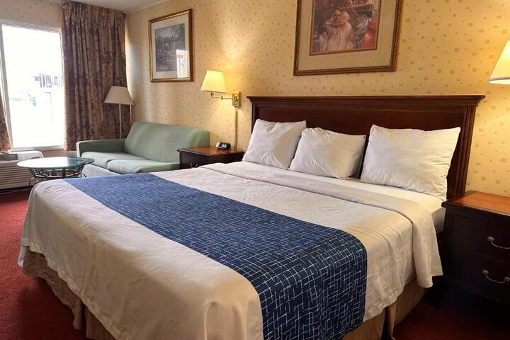 1 King Bed (1 of 6)