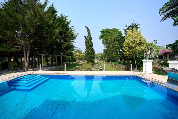 Pool 12 of 23