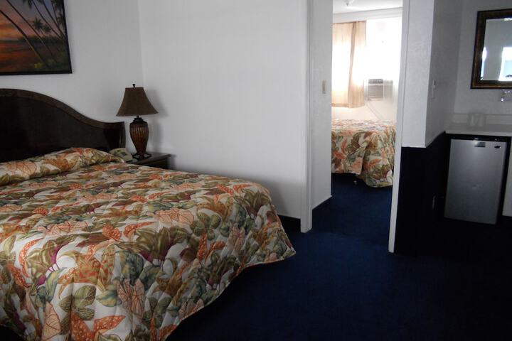 Suite Queen Bed Sofa (4 of 4)