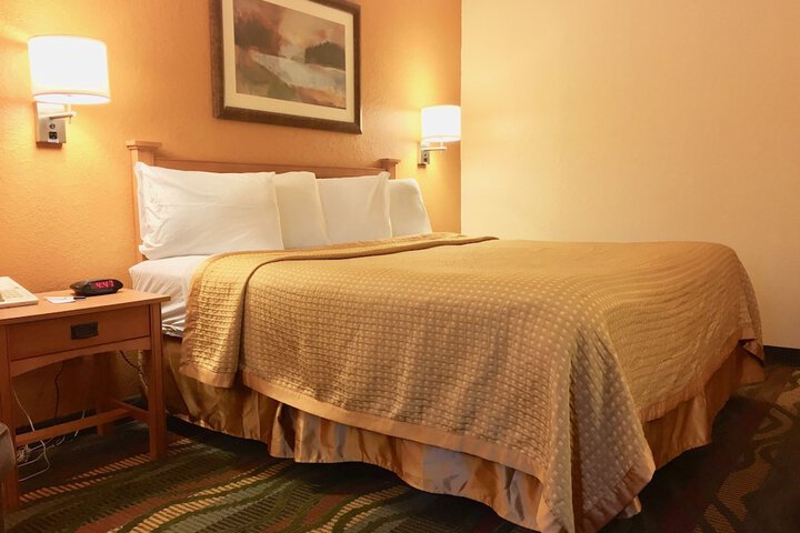 1 King Bed (5 of 18)