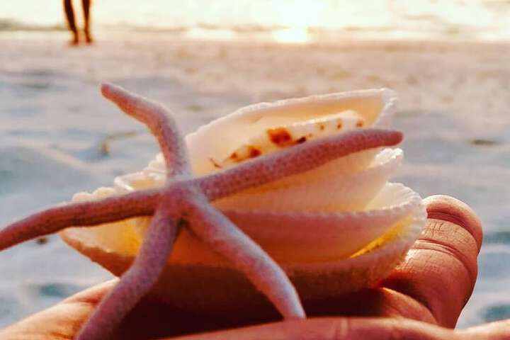 Beach 111 of 211